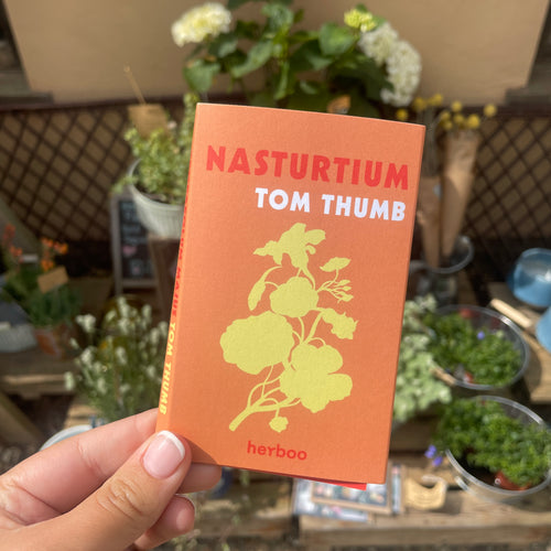 Nasturtium Tom Thumb Seeds