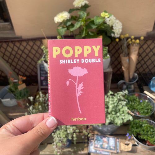 Poppy Shirley Double Seeds