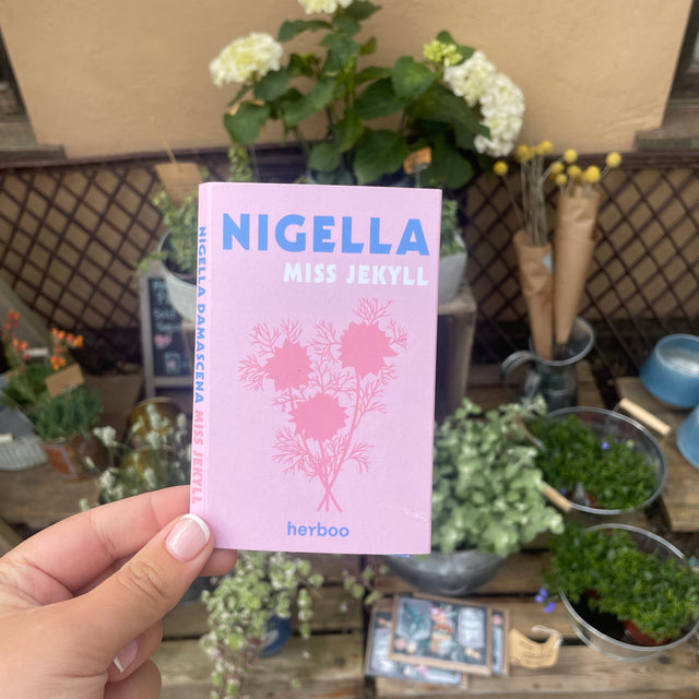 Nigella Miss Jekyll Seeds