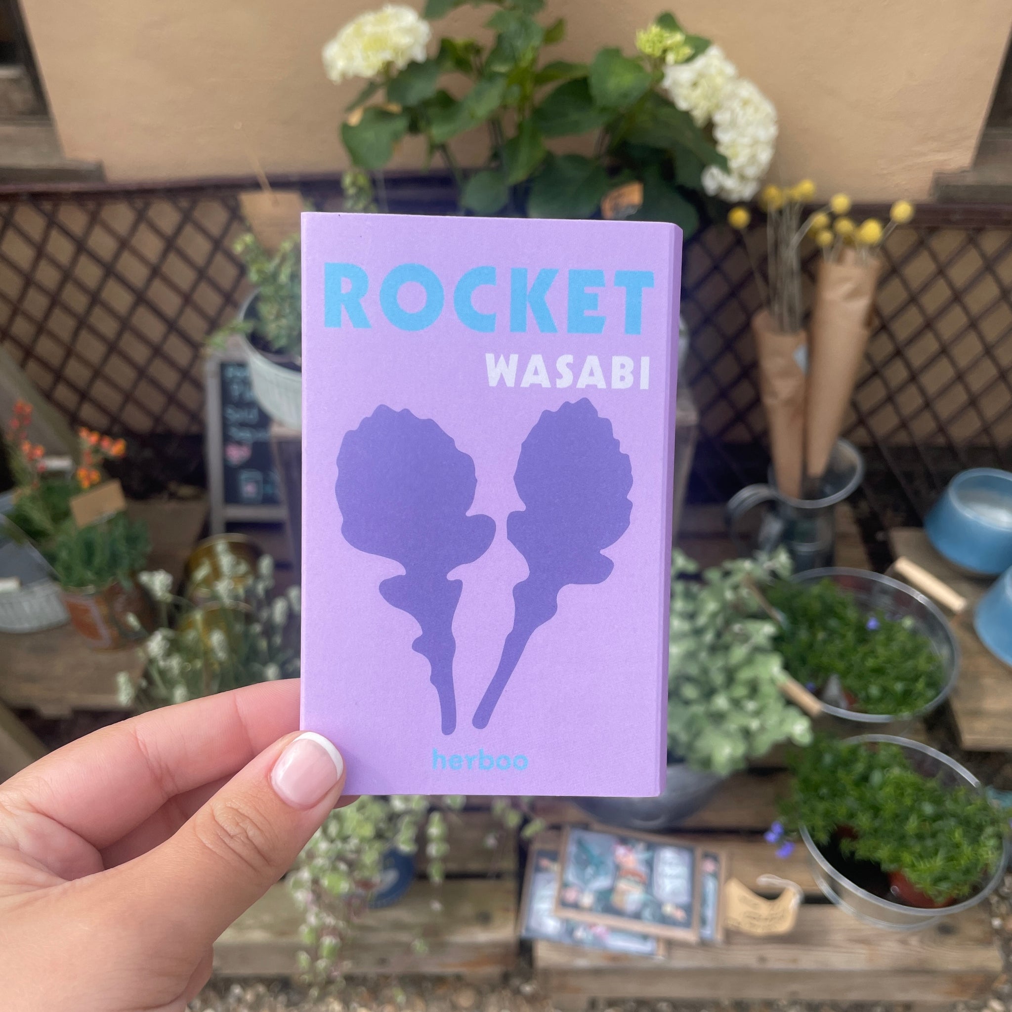 Rocket Wasabi Seeds Freda & Bert Gift Shop Cambridge