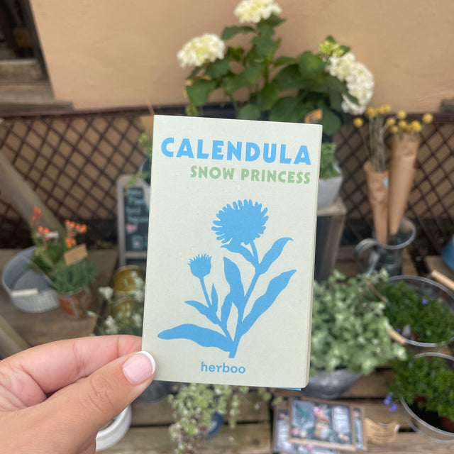Calendula Snow Princess Seeds