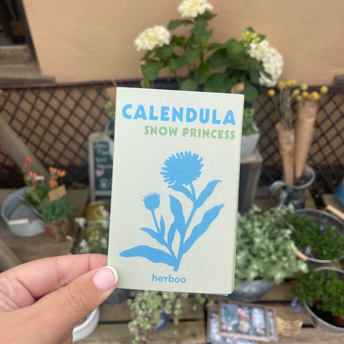 Calendula Snow Princess Seeds