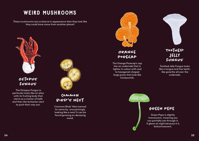 All About Mushrooms