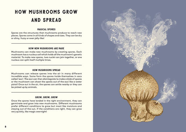 All About Mushrooms