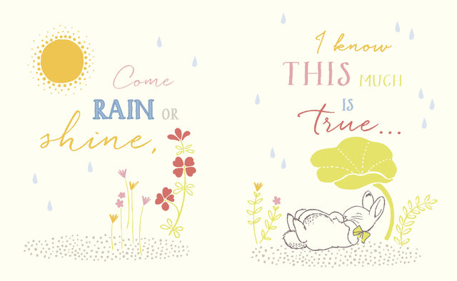 Peter Rabbit: I Love You Little One