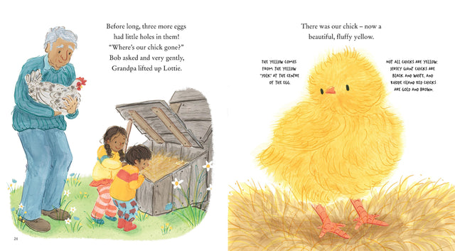 Chick Chick Chick Chick Chicken