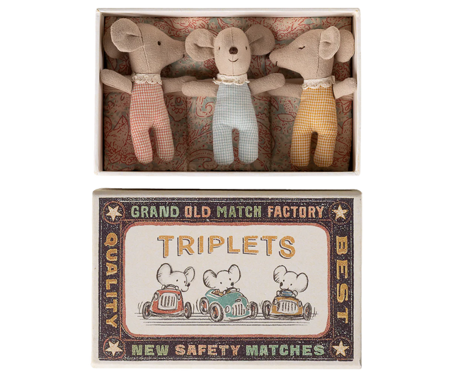 Triplets Baby Mice In Matchbox: Checker