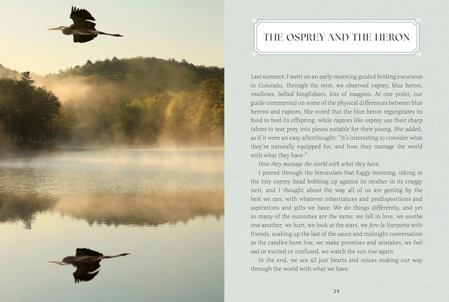 Small Wonders: A Field Guide To Life’s Quiet Joys