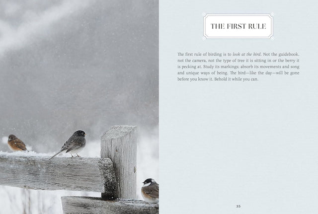 Small Wonders: A Field Guide To Life’s Quiet Joys