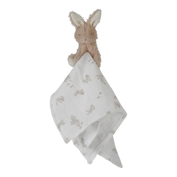 Baby Bunny Gift Set