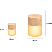 Load image into Gallery viewer, Large Lemelia Light: White Ash