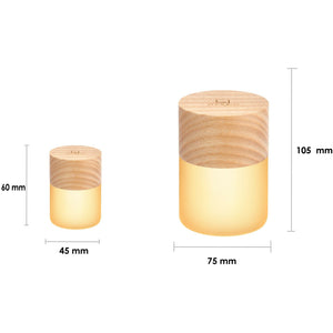 Large Lemelia Light: White Ash