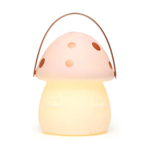 Pink & Rose Gold Fairy House Carry Lantern