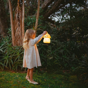 Mini Pink & Gold Fairy House Carry Lantern