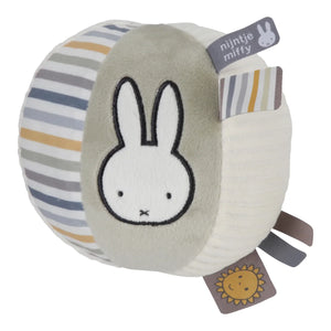 Miffy Fluffy Blue Ball