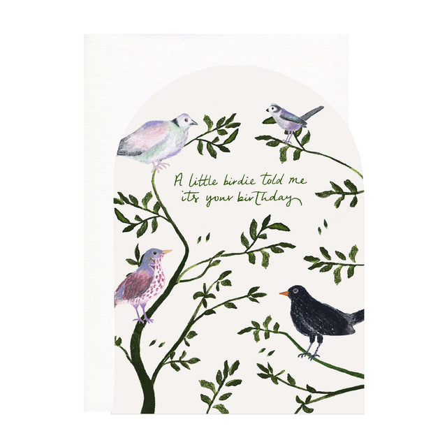 A Little Birdie Birthday Card