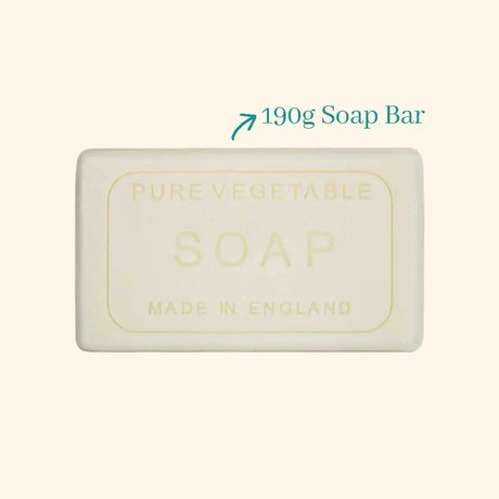 Polar Lights Hand & Body Soap