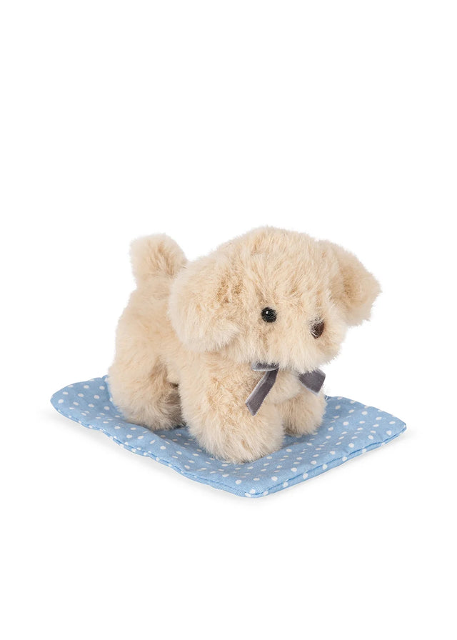 Take Care Of Me: Dog