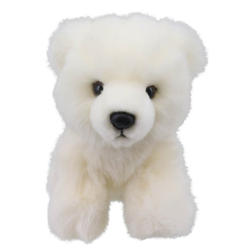 Little Polar Bear Soft Toy