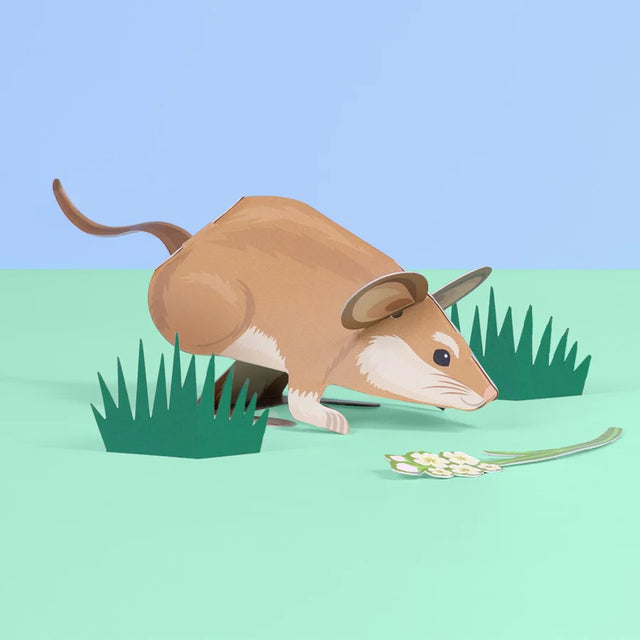 Create Your Own Adorable Dormouse
