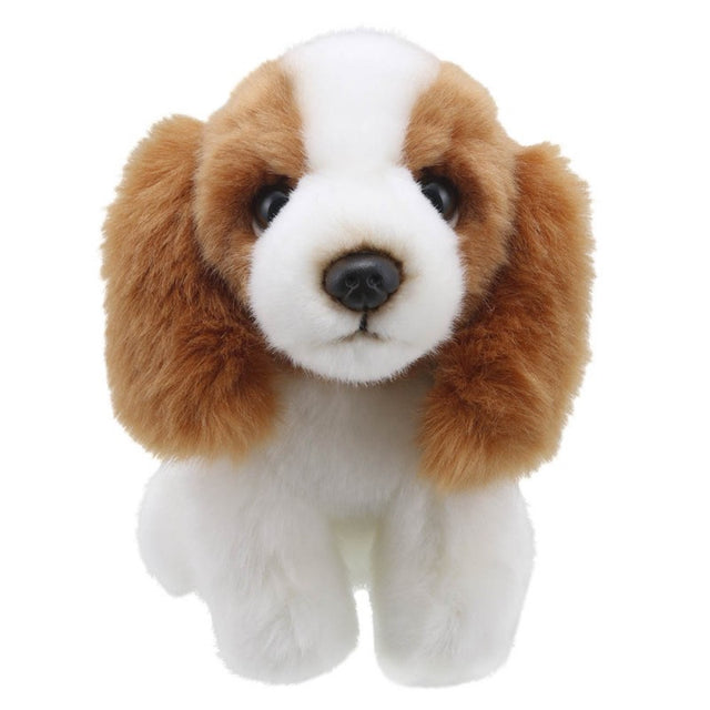 Little King Charles Spaniel Soft Toy
