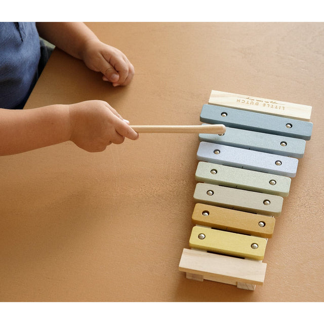 Blue Wooden Xylophone