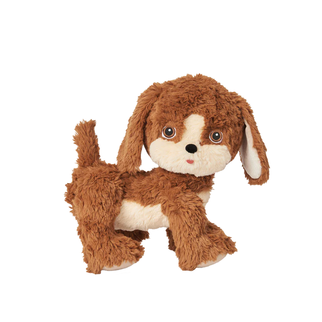 Buddy Dinkum Dog