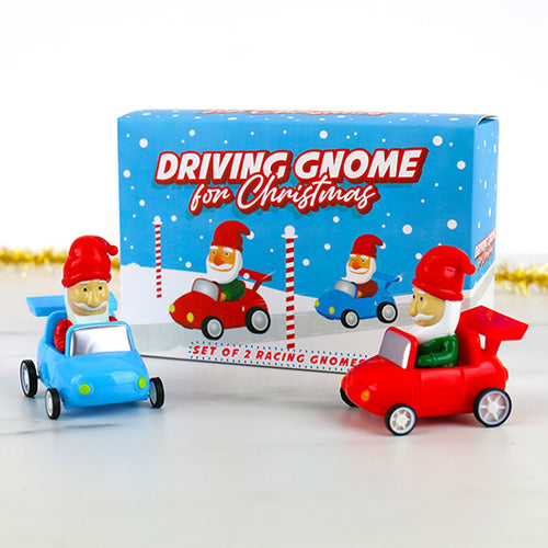 Driving Gnome for Christmas Game