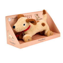 Load image into Gallery viewer, Dudley Pull Along Dog