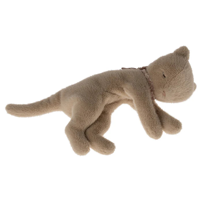 Sleepy Cream Peach Kitten