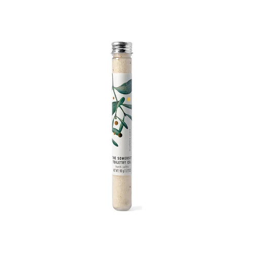 Mistletoe Winter Bath Salts