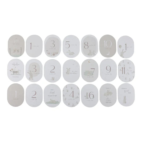 Baby Bunny Milestone Cards