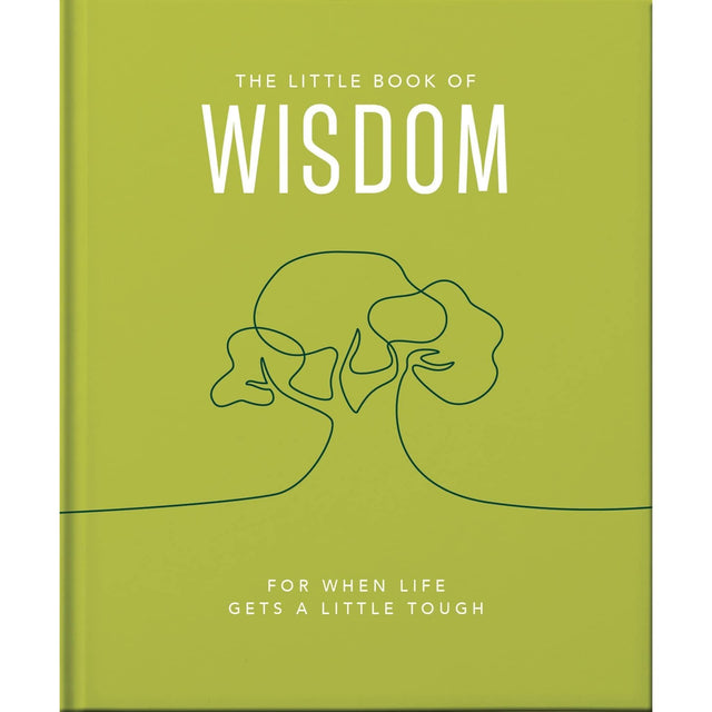 The Little Book Of Wisdom