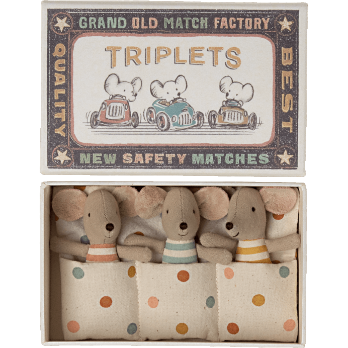 Triplets Baby Mice In Matchbox