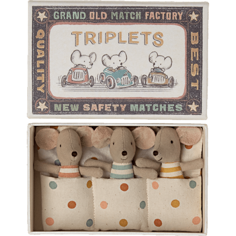 Triplets Baby Mice In Matchbox