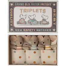 Load image into Gallery viewer, Triplets Baby Mice In Matchbox