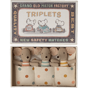 Triplets Baby Mice In Matchbox