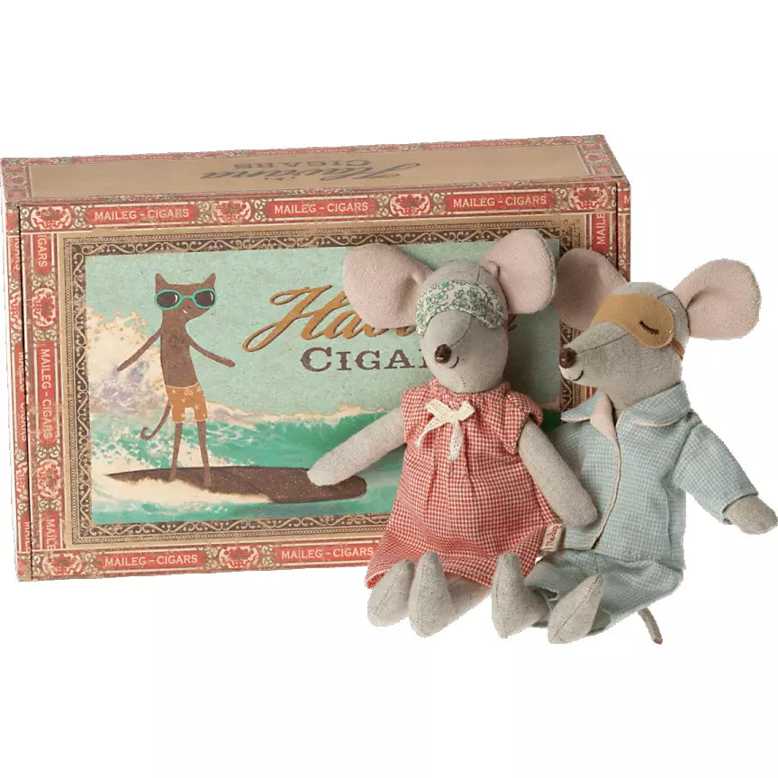 Mum And Dad Mice In Cigar Box
