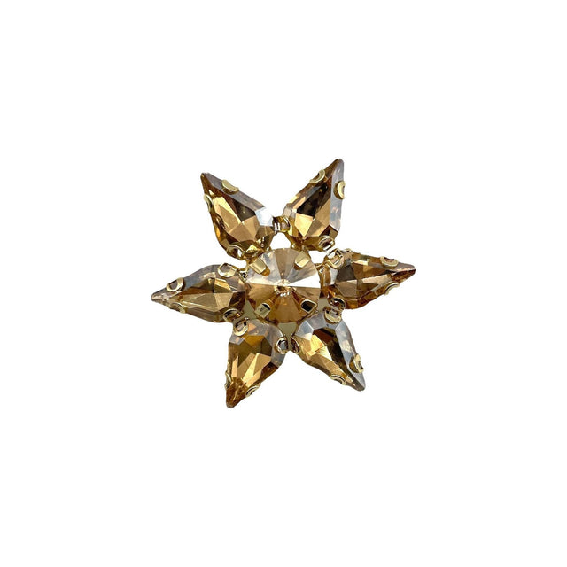 Champagne Star Pin