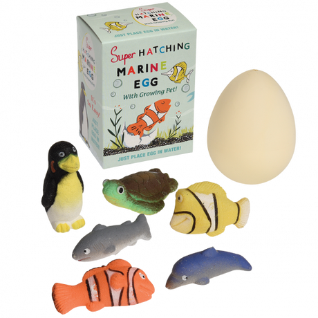 Hatching Marine Animal Egg