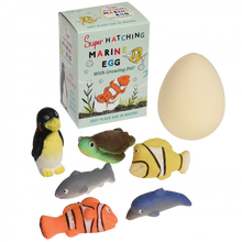 Load image into Gallery viewer, Hatching Marine Animal Egg