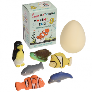 Hatching Marine Animal Egg