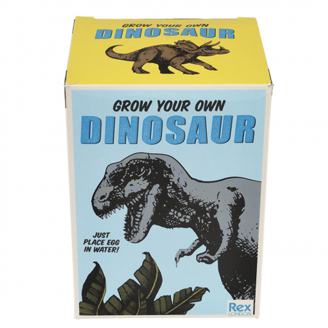 Giant Dinosaur Hatching Egg
