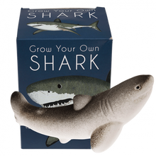 Load image into Gallery viewer, Giant Shark Hatching Egg