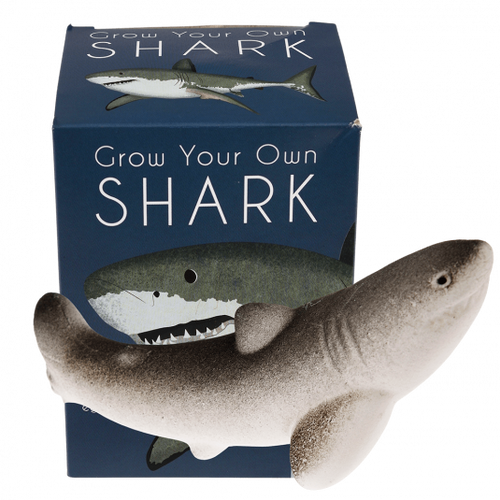 Giant Shark Hatching Egg