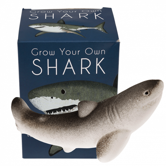 Giant Shark Hatching Egg