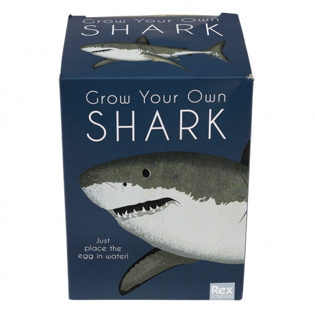 Giant Shark Hatching Egg