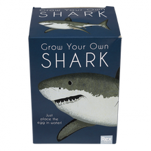 Load image into Gallery viewer, Giant Shark Hatching Egg