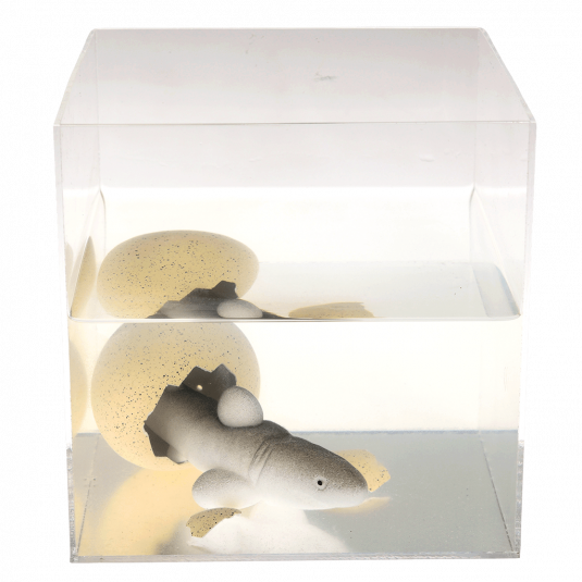 Giant Shark Hatching Egg