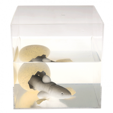 Load image into Gallery viewer, Giant Shark Hatching Egg